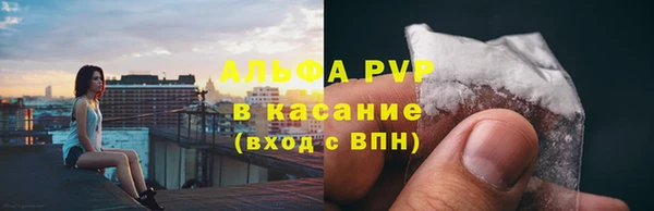 гашик Вяземский